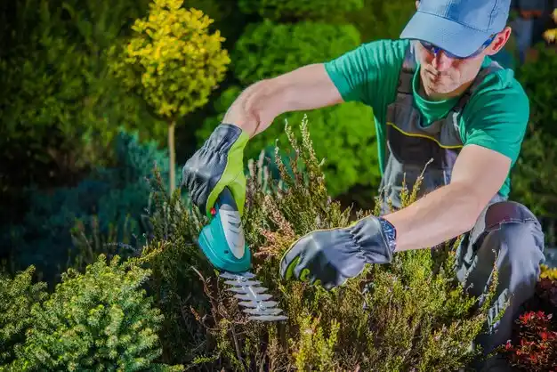 landscaping services Vienna Center